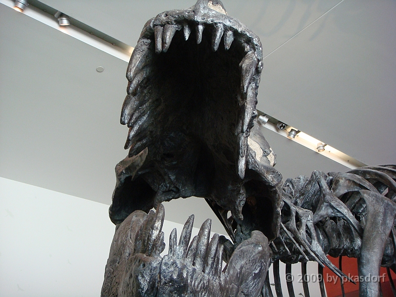 034 Cranbrook Institute of Science [2008 Jan 02].JPG